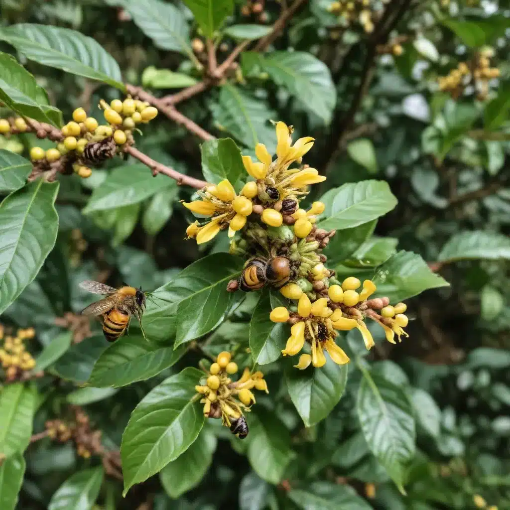 A sustainable and bee-pollinated coffee to start your day | bioRxiv