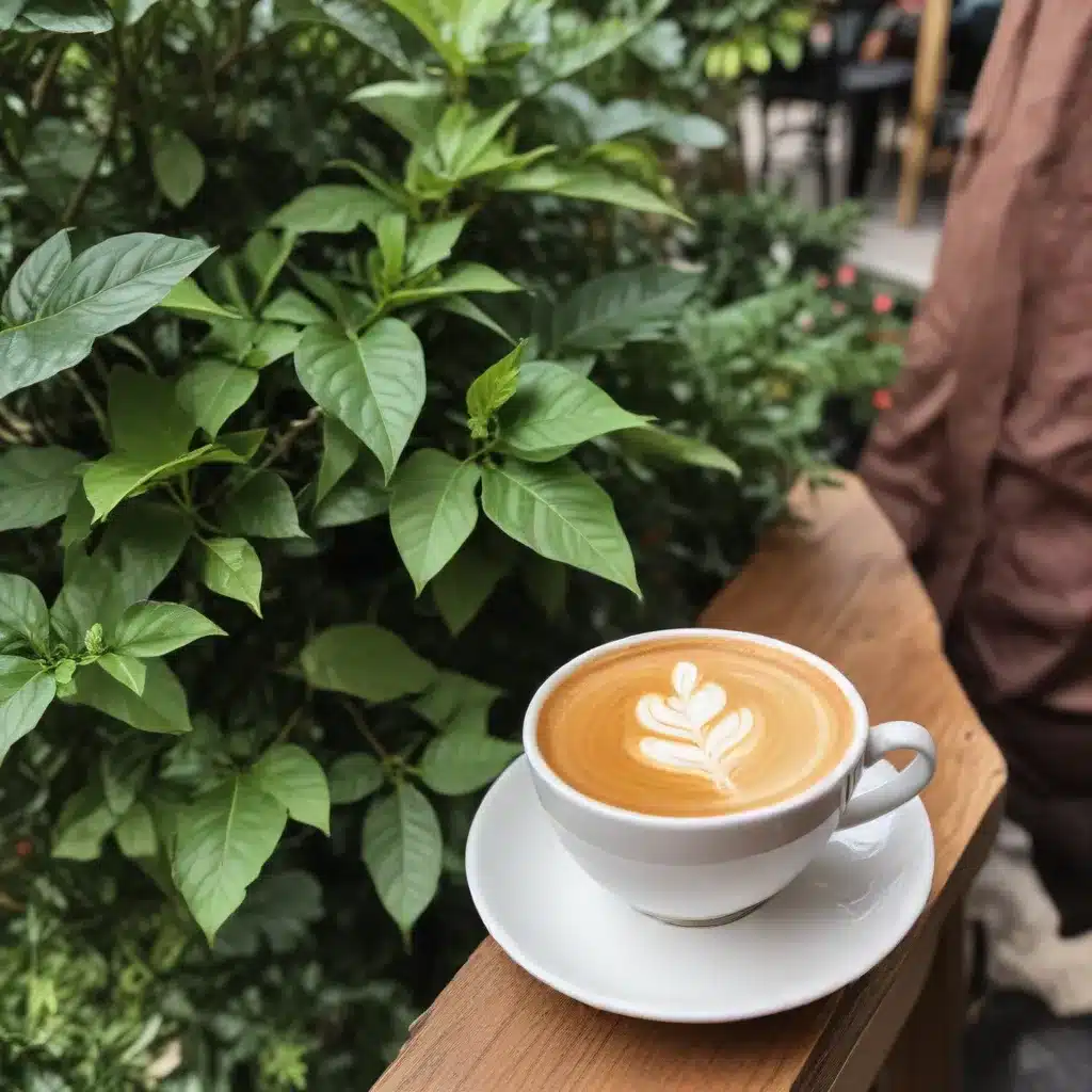 Café Mila’s Coffee and Tea Journeys: Elevating the Sipping Experience with Sustainable Sourcing