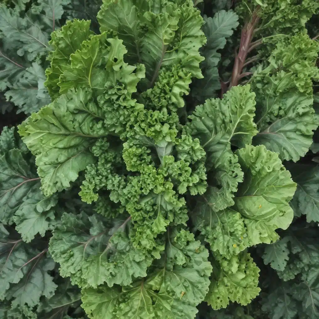 Foodie Friday – What are the Health Benefits of Kale? – Piglet in …