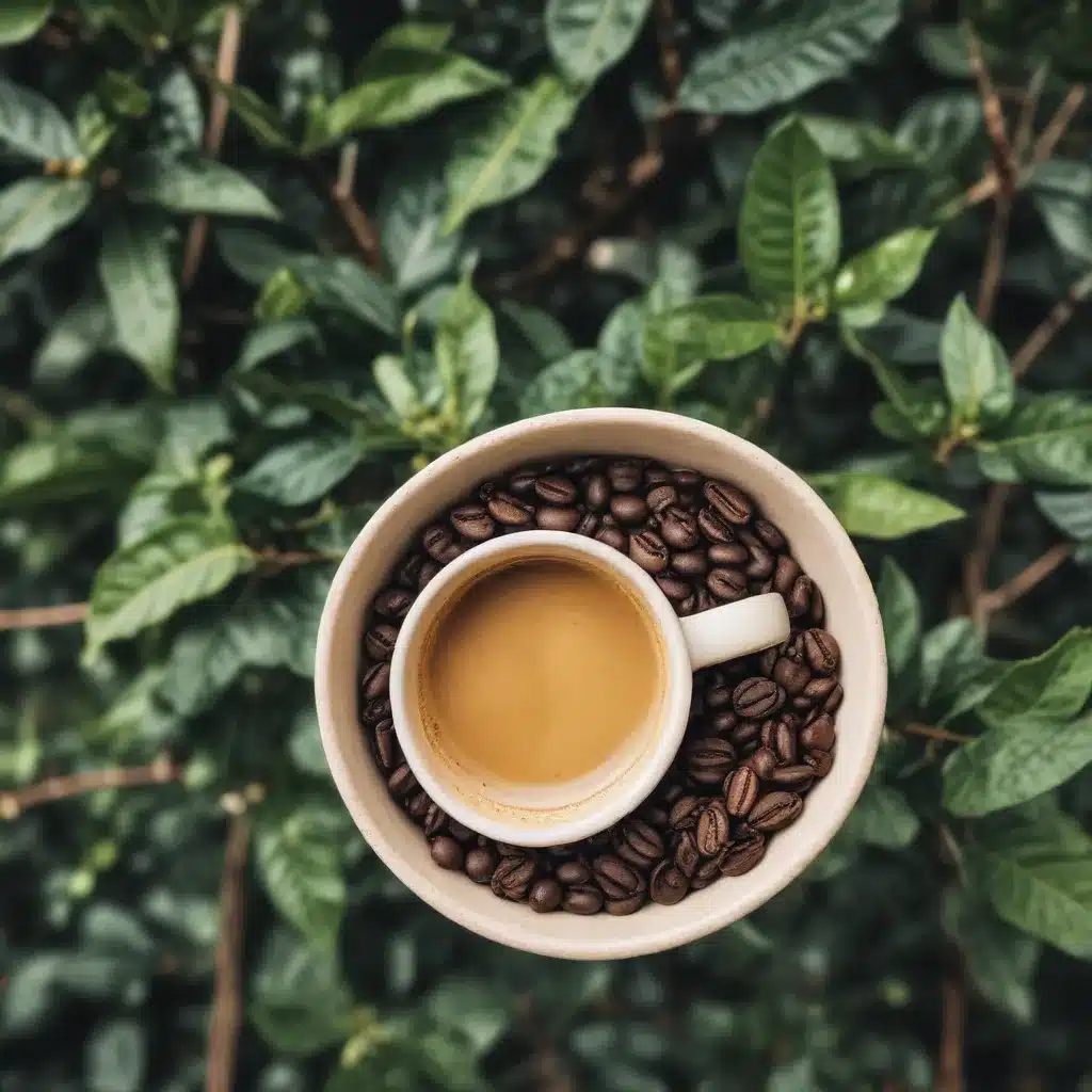 Sustainable Sips: The Environmental Impact of Coffee & Tea Production
